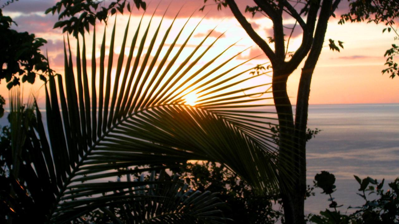 Nature'S Paradise Panzió Marigot-öböl Kültér fotó