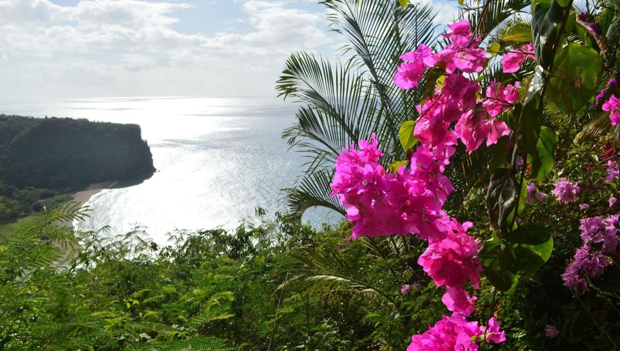Nature'S Paradise Panzió Marigot-öböl Kültér fotó